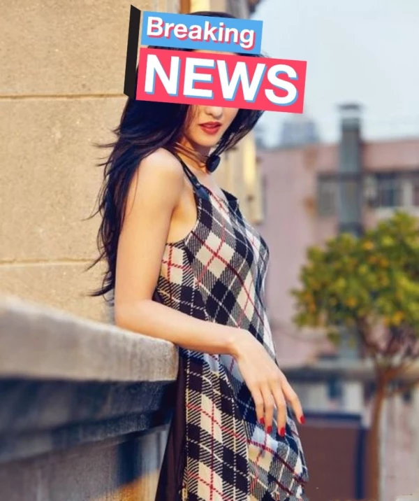 粉红色海豚ladypink-最新订阅究极反差极品气质御姐