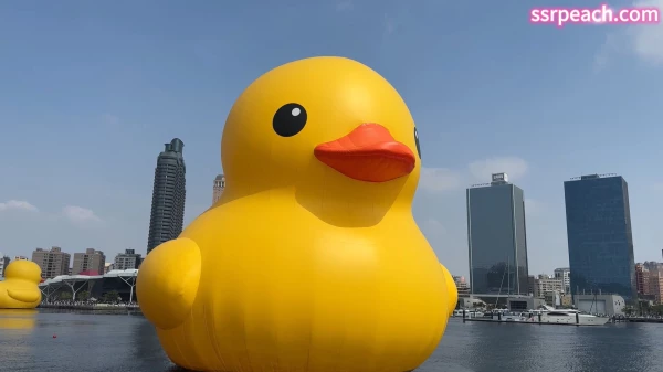 ssrpeach-付费完整ppv 家里浴缸的小色黄鸭[1V448M]
