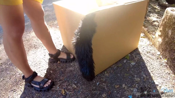 Naomii-流浪猫娘持续中出[900M1V]