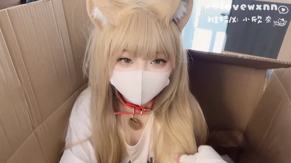 小欣奈-人形猫娘 特殊快递喵酱被当成玩物一样[1V666M]